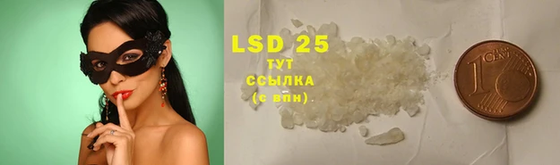 трава Балахна