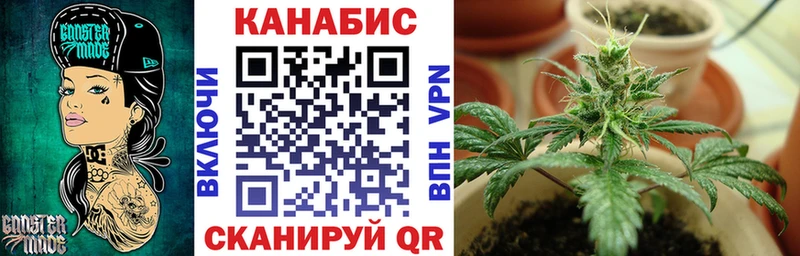 МАРИХУАНА White Widow наркота кракен ссылки Хилок